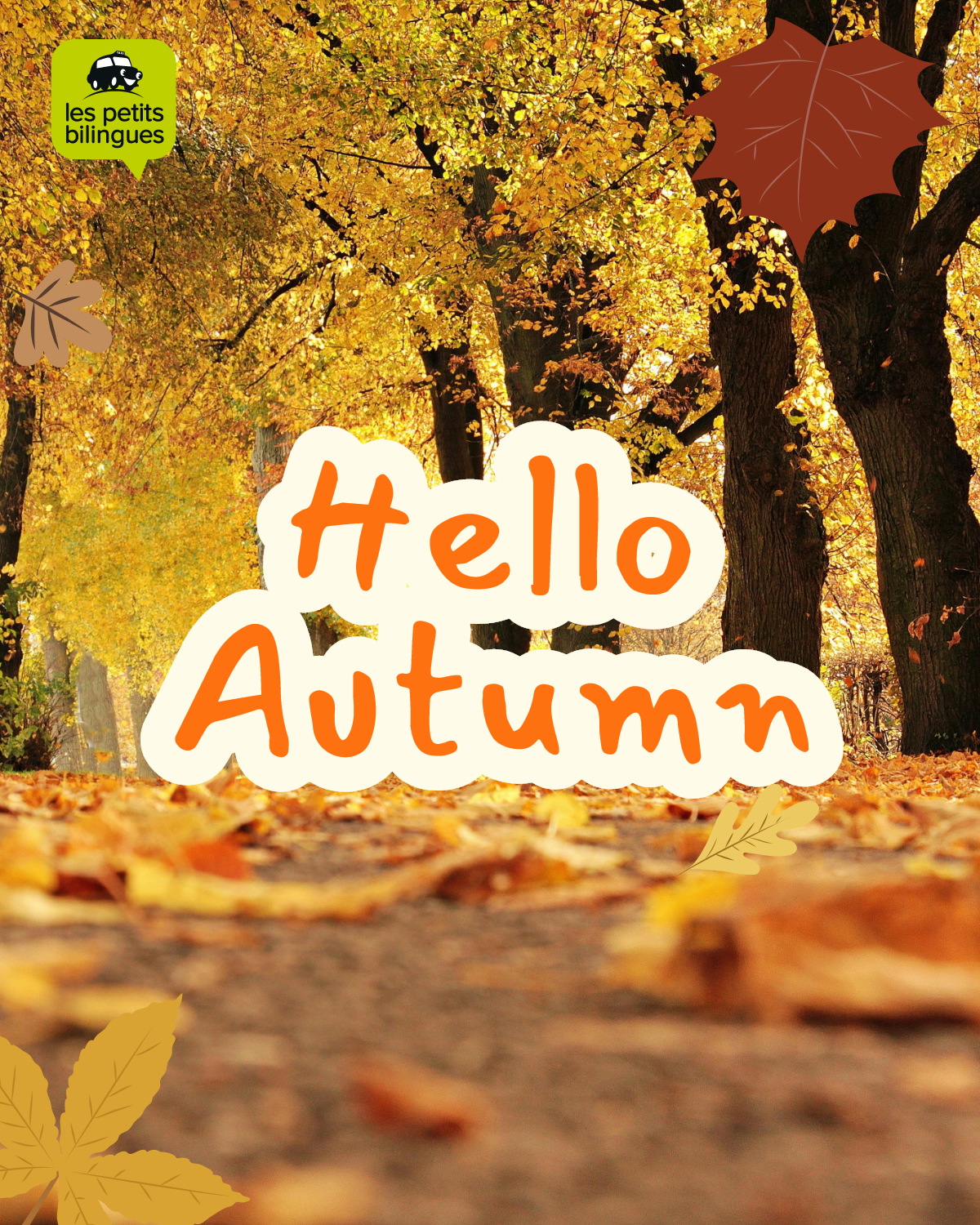 🍁 Un automne 100 % ludique & immersif !
